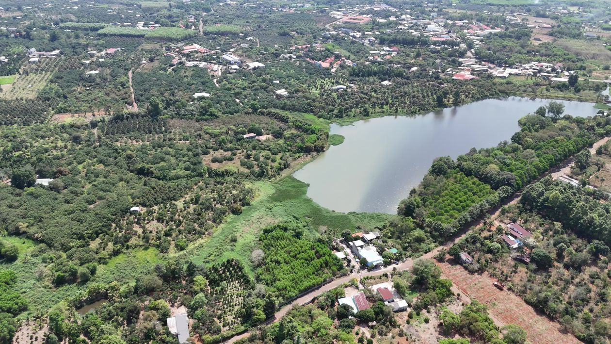 Scenic Aerial View of Lush Green Forest and Lake Free Stock Video ...
