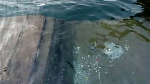Unwanted Garbage Floating Along The Bay 