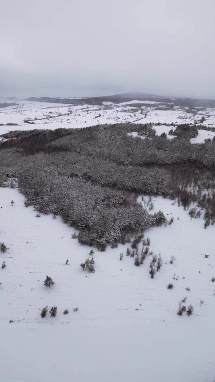 Drone Aerial View of Snow-Covered Forest Free Stock Video Footage ...