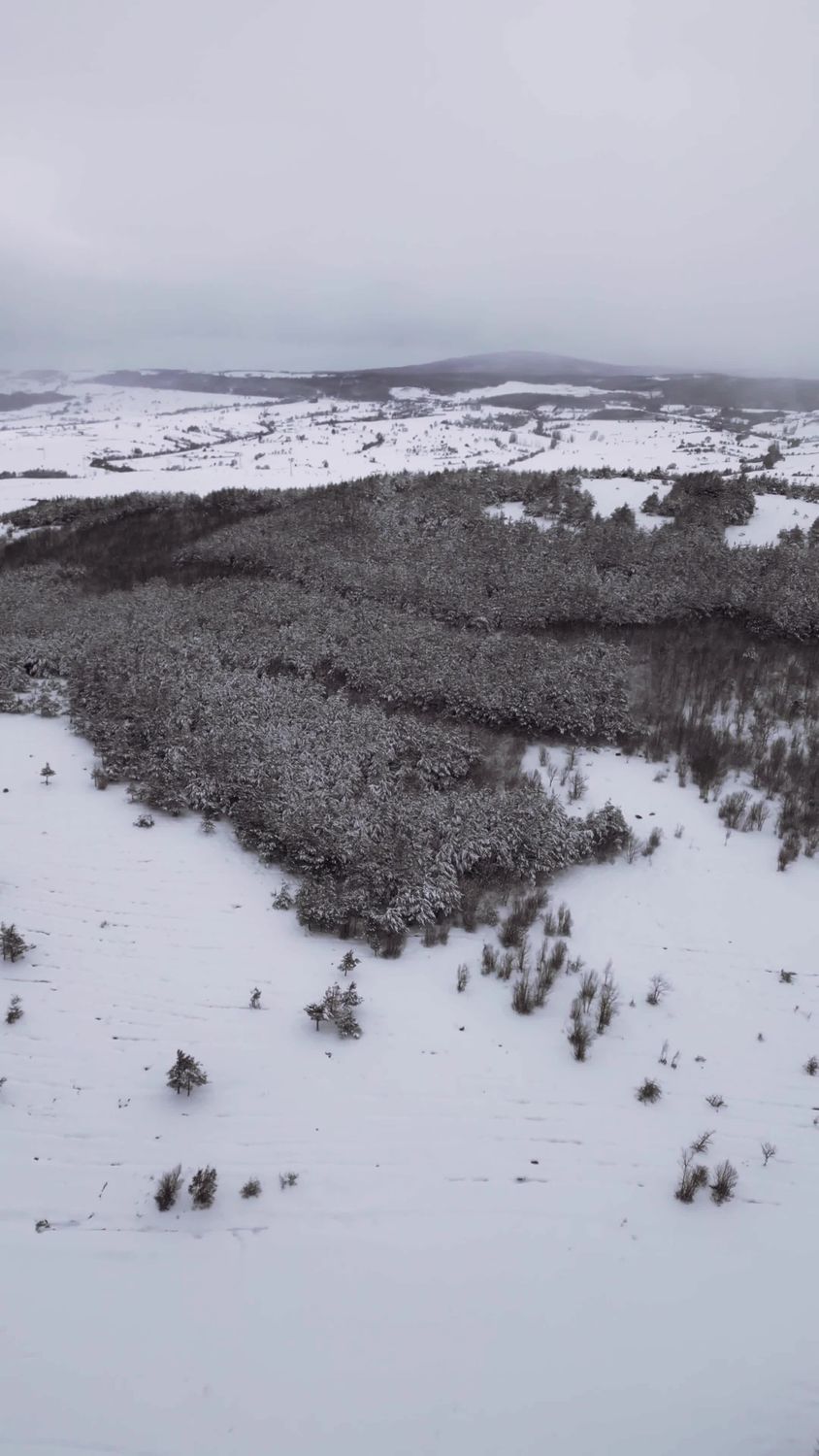 Drone Aerial View of Snow-Covered Forest Free Stock Video Footage ...