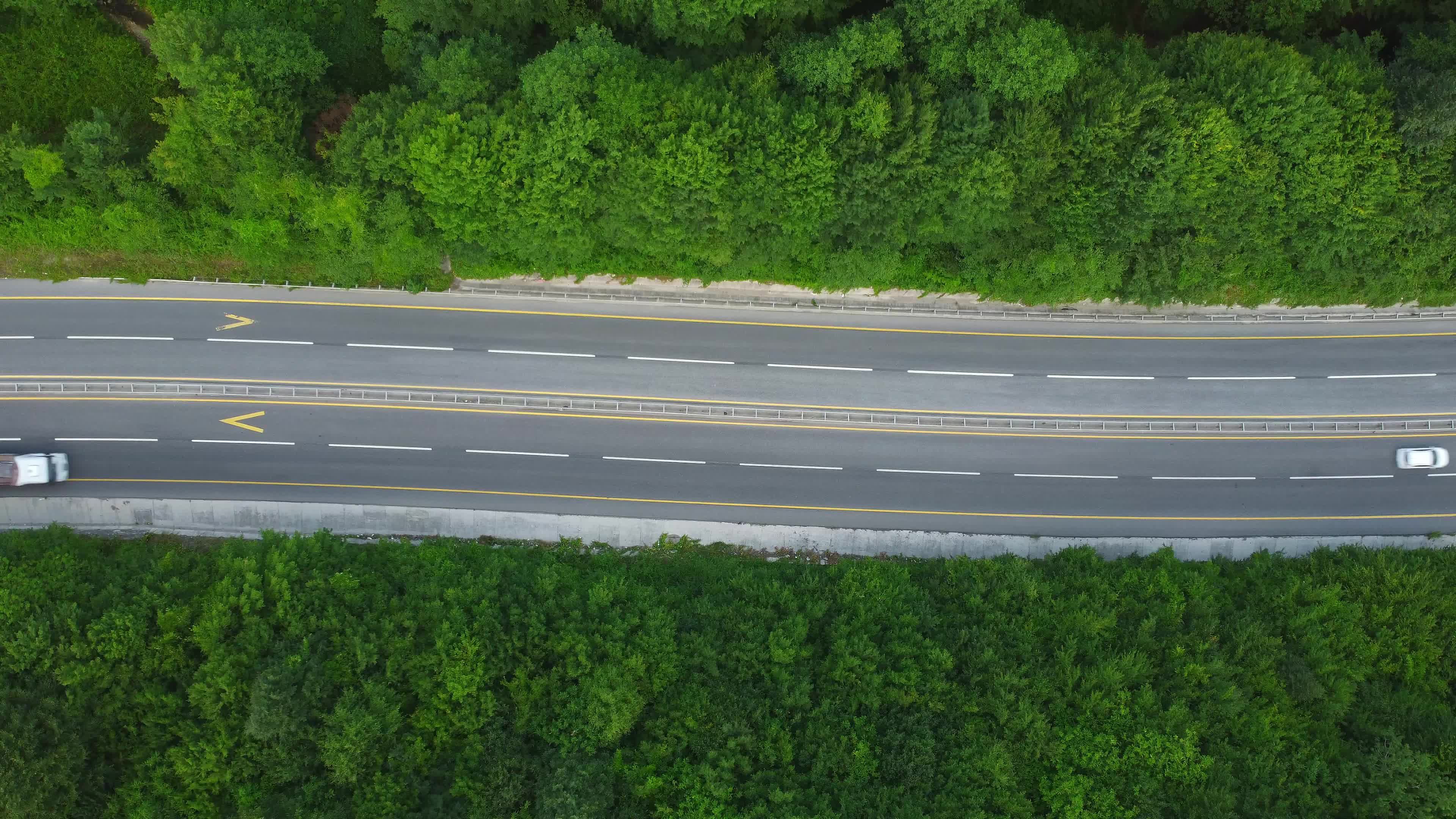 Aerial View of Road through Lush Green Forest Free Stock Video Footage ...