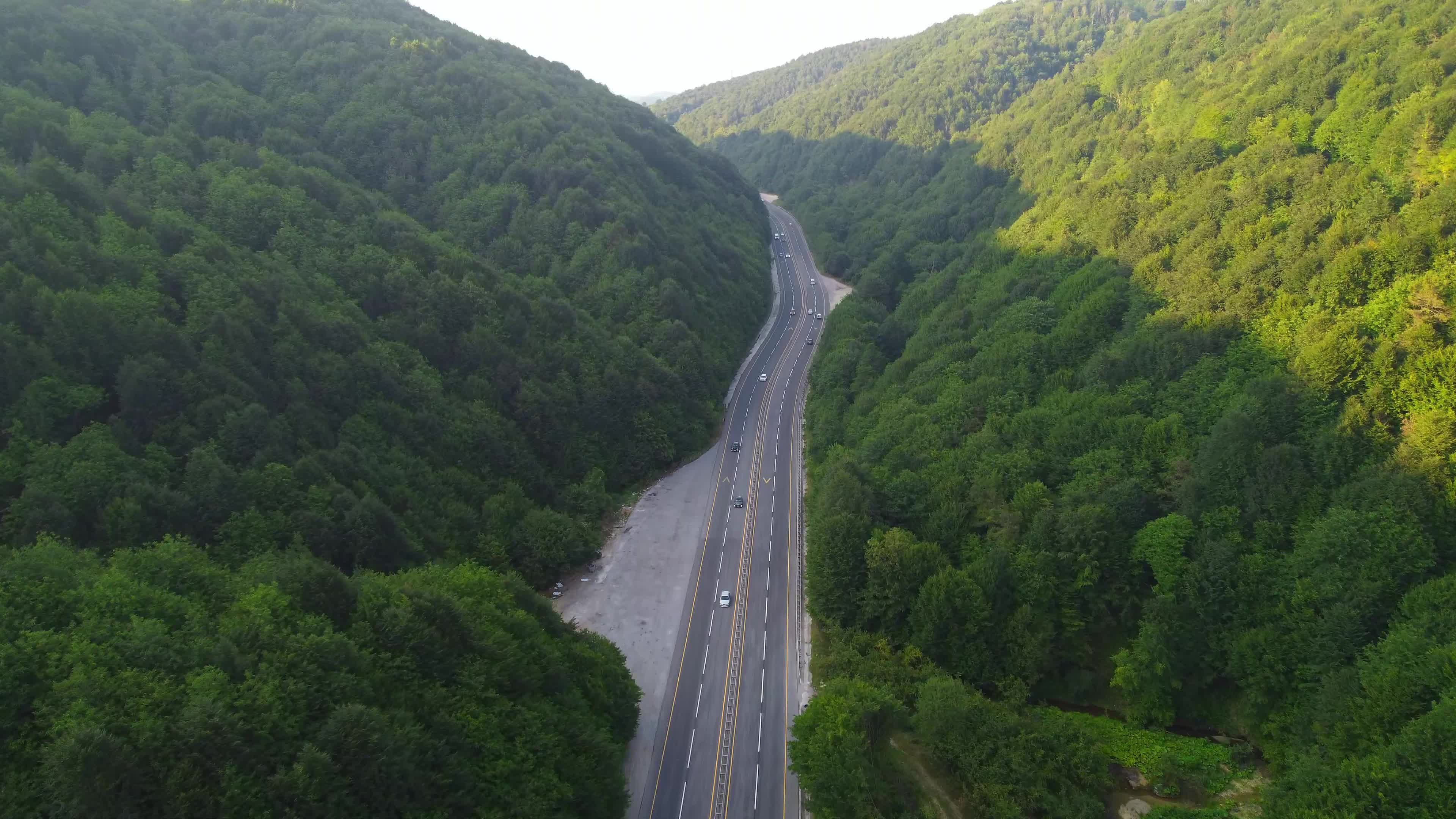 Scenic Aerial View of Forest Road in Summer Free Stock Video Footage ...