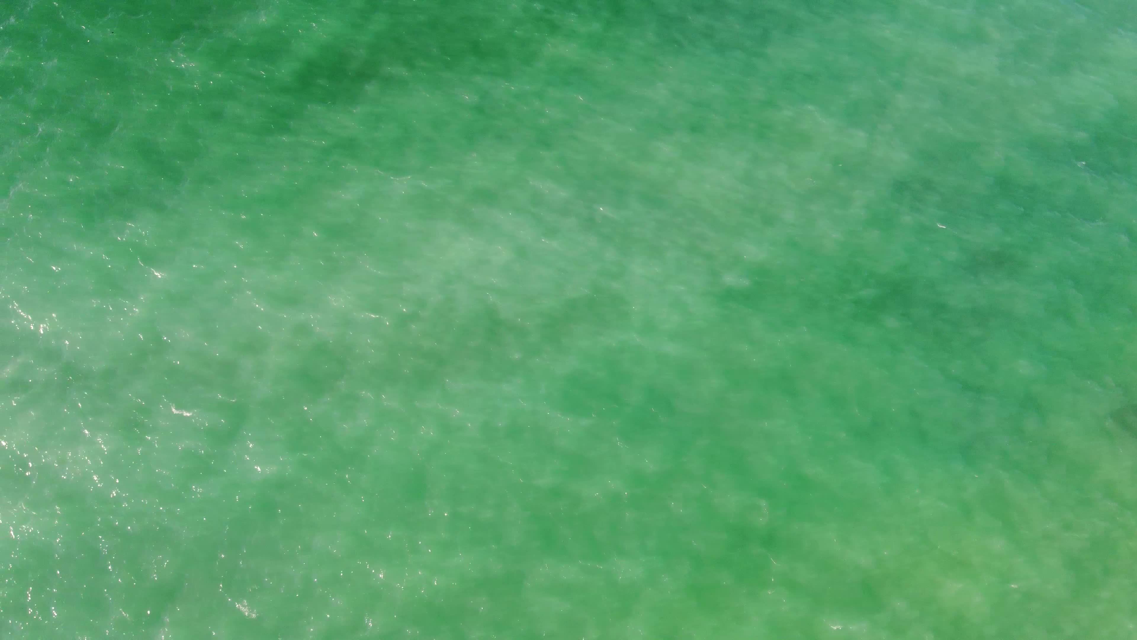 Aerial View of Vibrant Green Sea Waves in 4K Free Stock Video Footage ...
