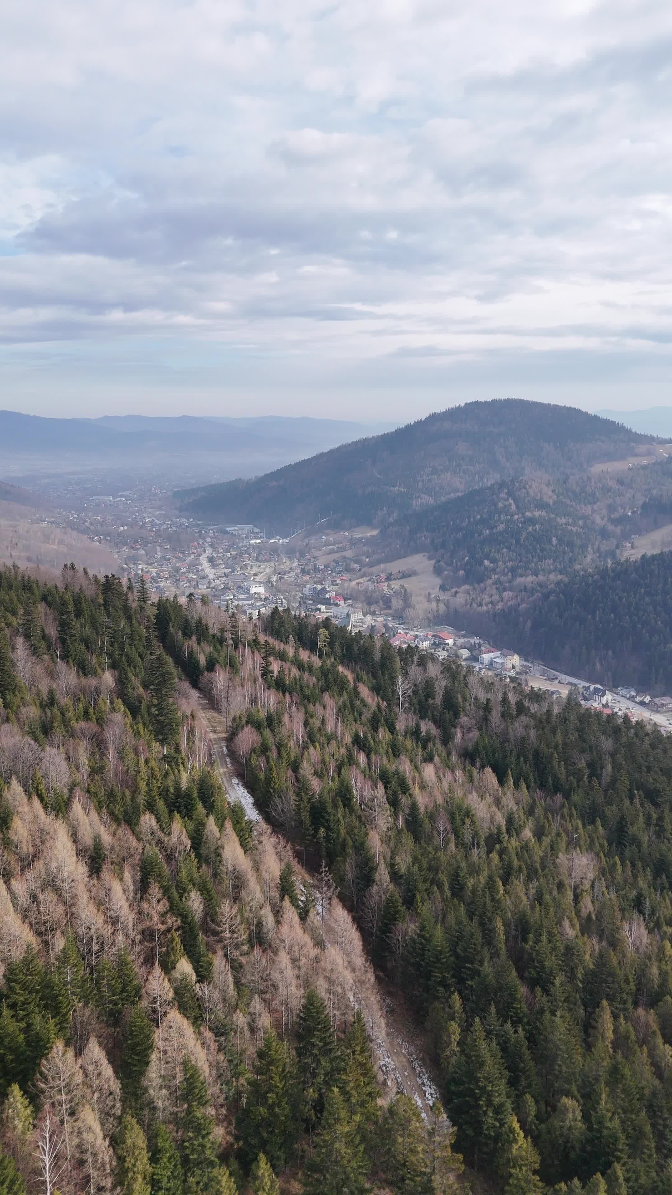 Stunning Aerial View of Majestic Forested Mountains Free Stock Video ...