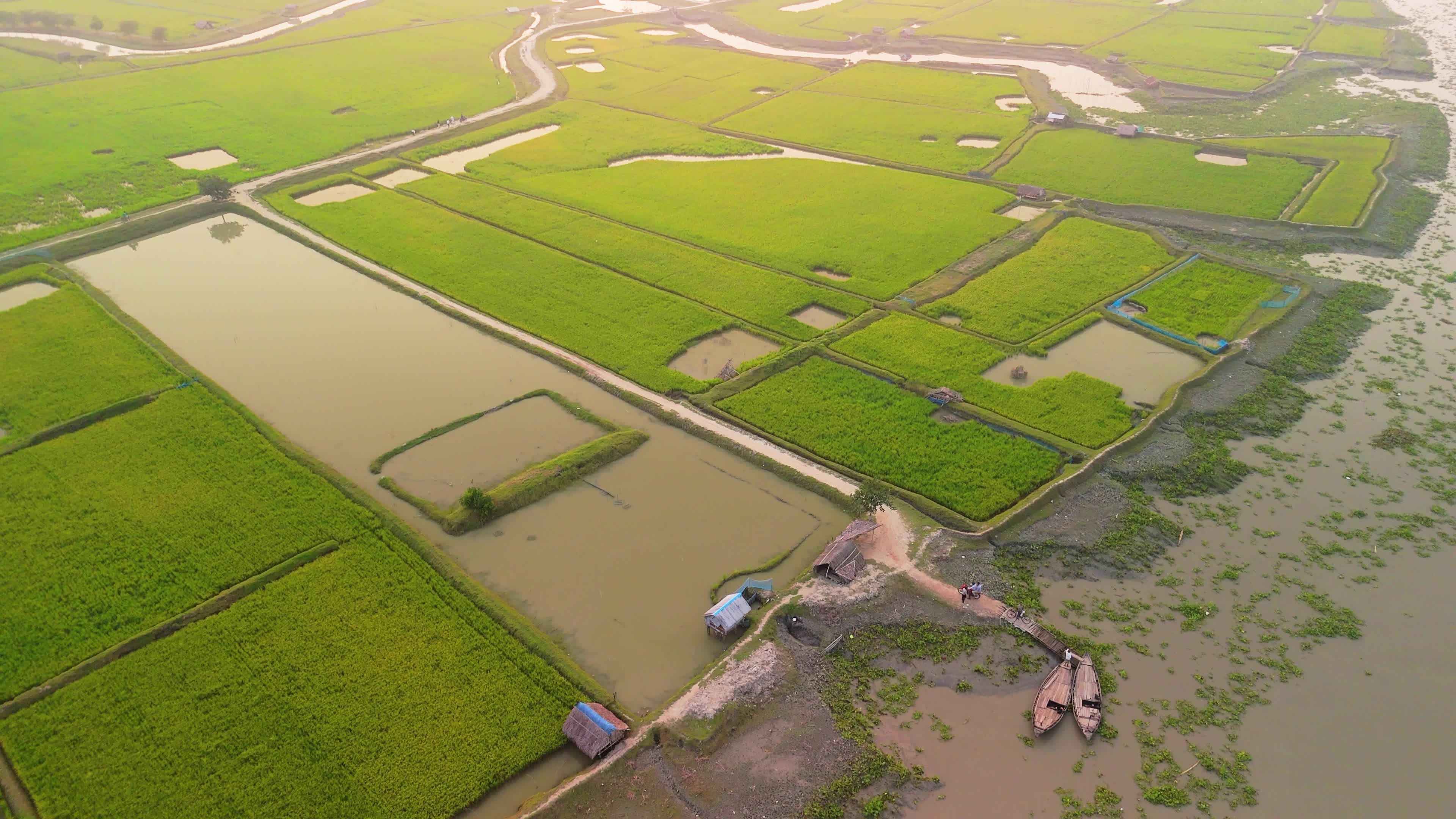 Aerial View of Lush Green Fields and River Free Stock Video Footage ...