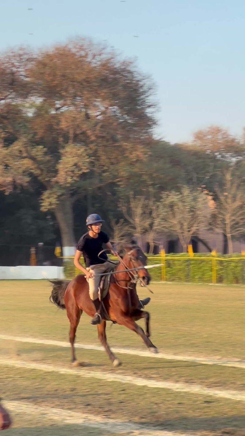 Horse Riding Videos, Download The BEST Free 4k Stock Video Footage ...