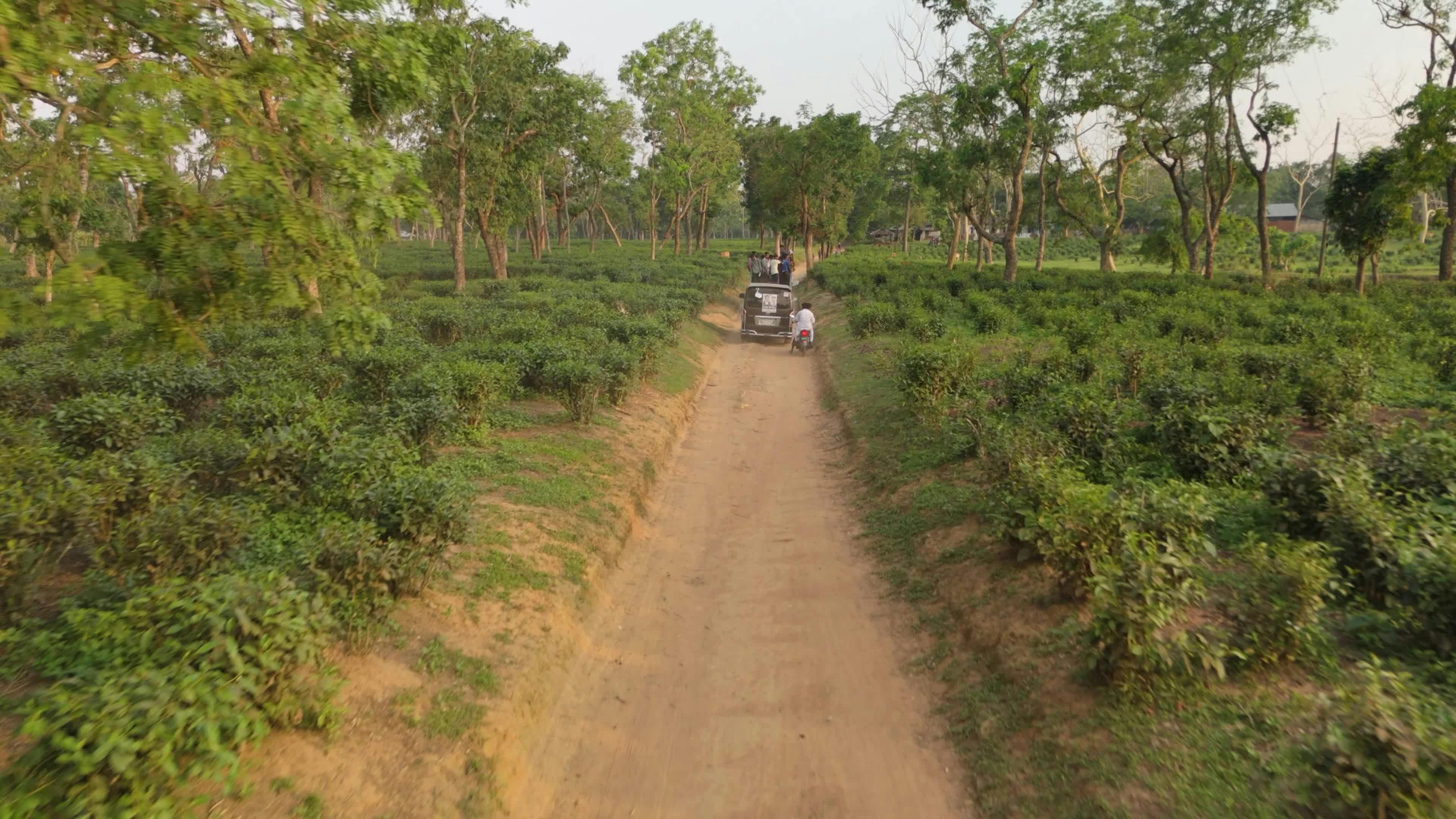 Video by Somogro Bangladesh