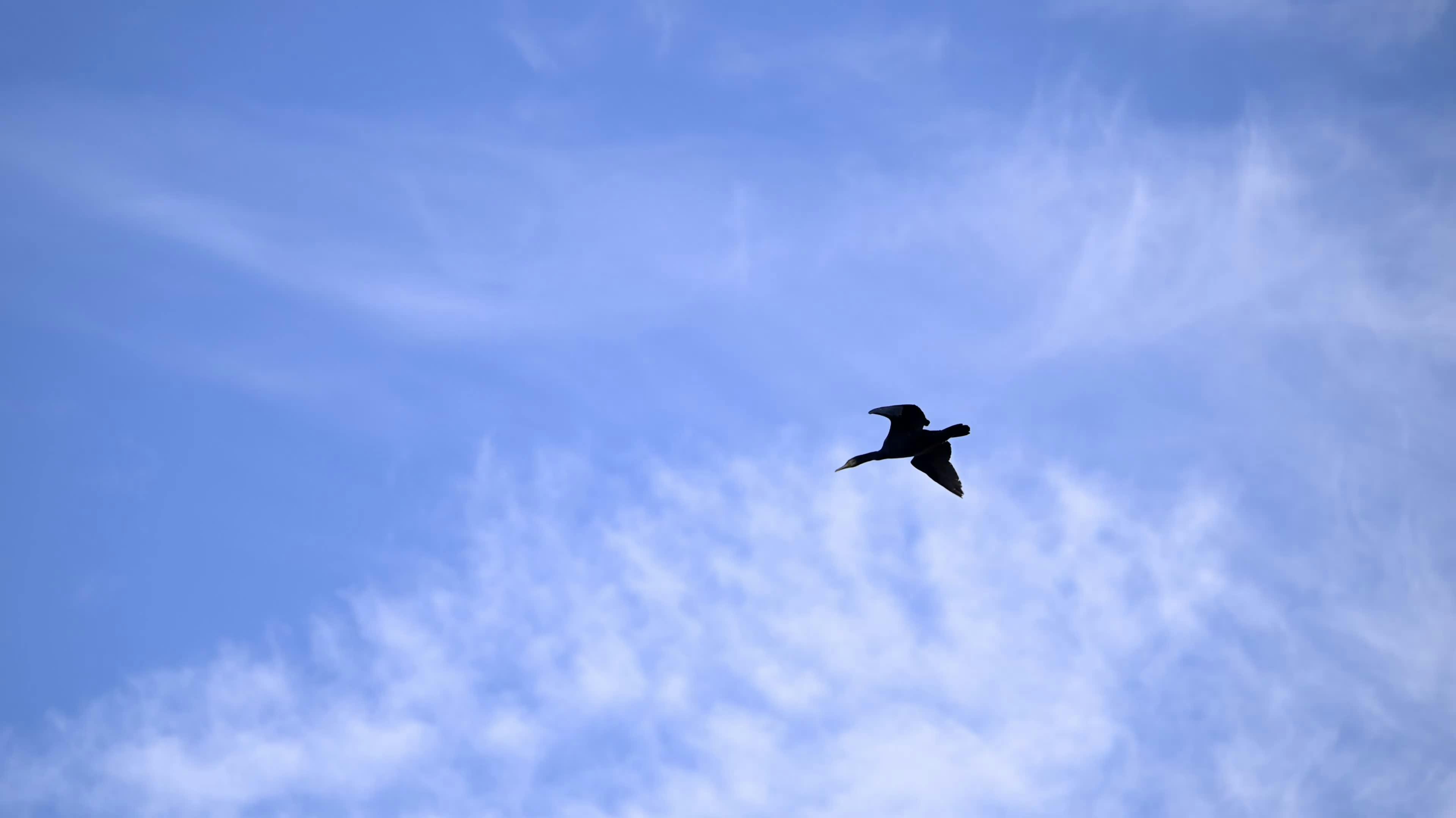 Content Free Videos Download The Best Free 4k Stock Video Footage