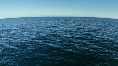 Atlantic Ocean Videos, Download The BEST Free 4k Stock Video Footage ...