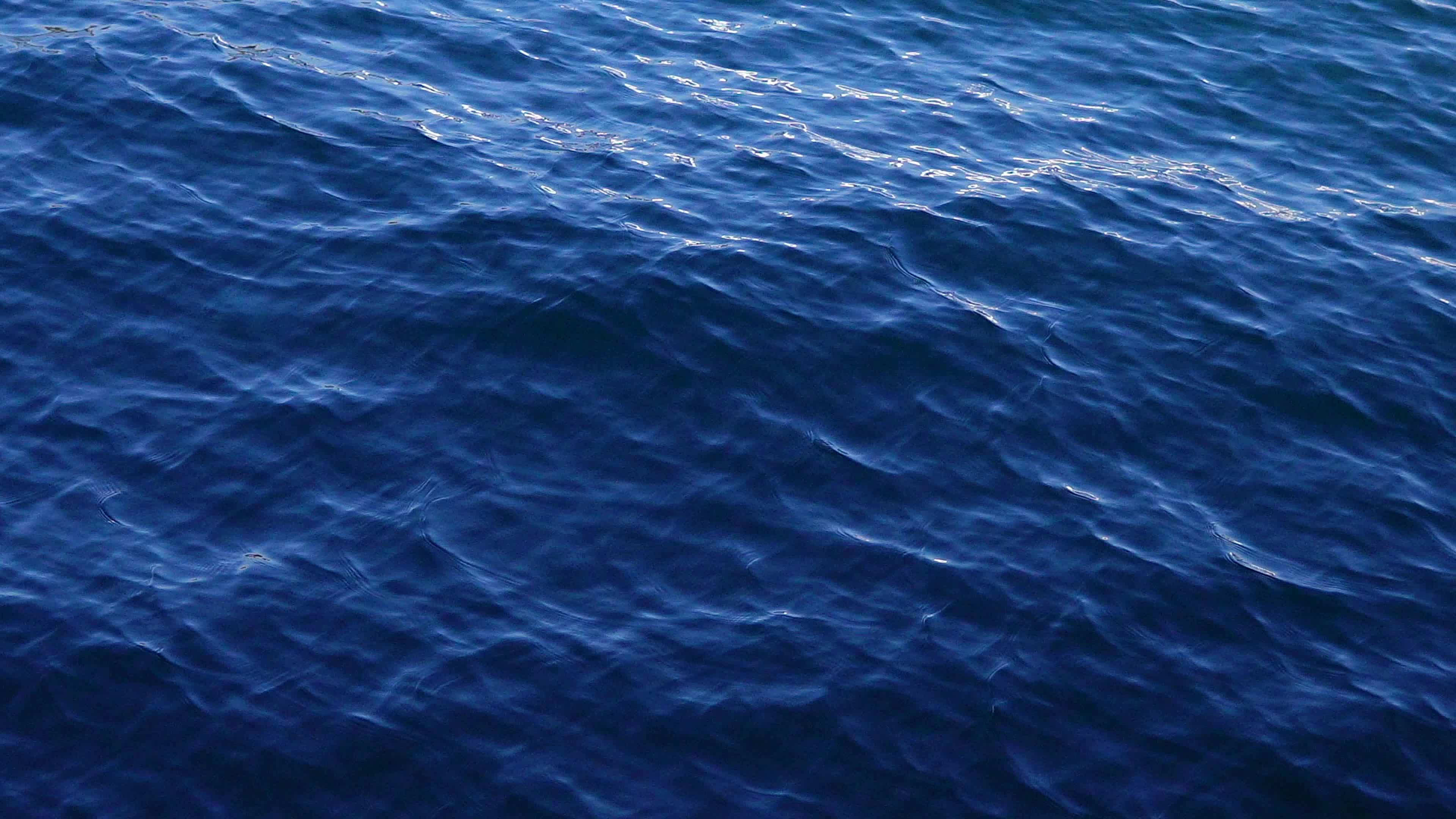 serene ocean waves rippling in daylight 31013707