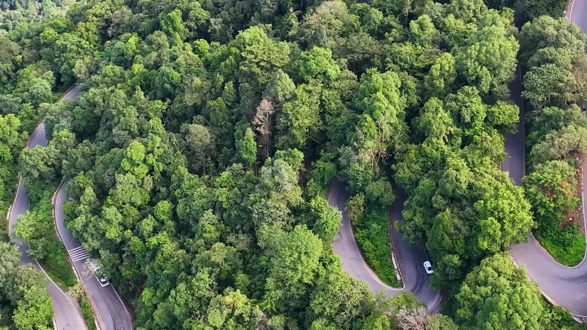 Scenic Aerial View of Lush Mountain Road Free Stock Video Footage ...