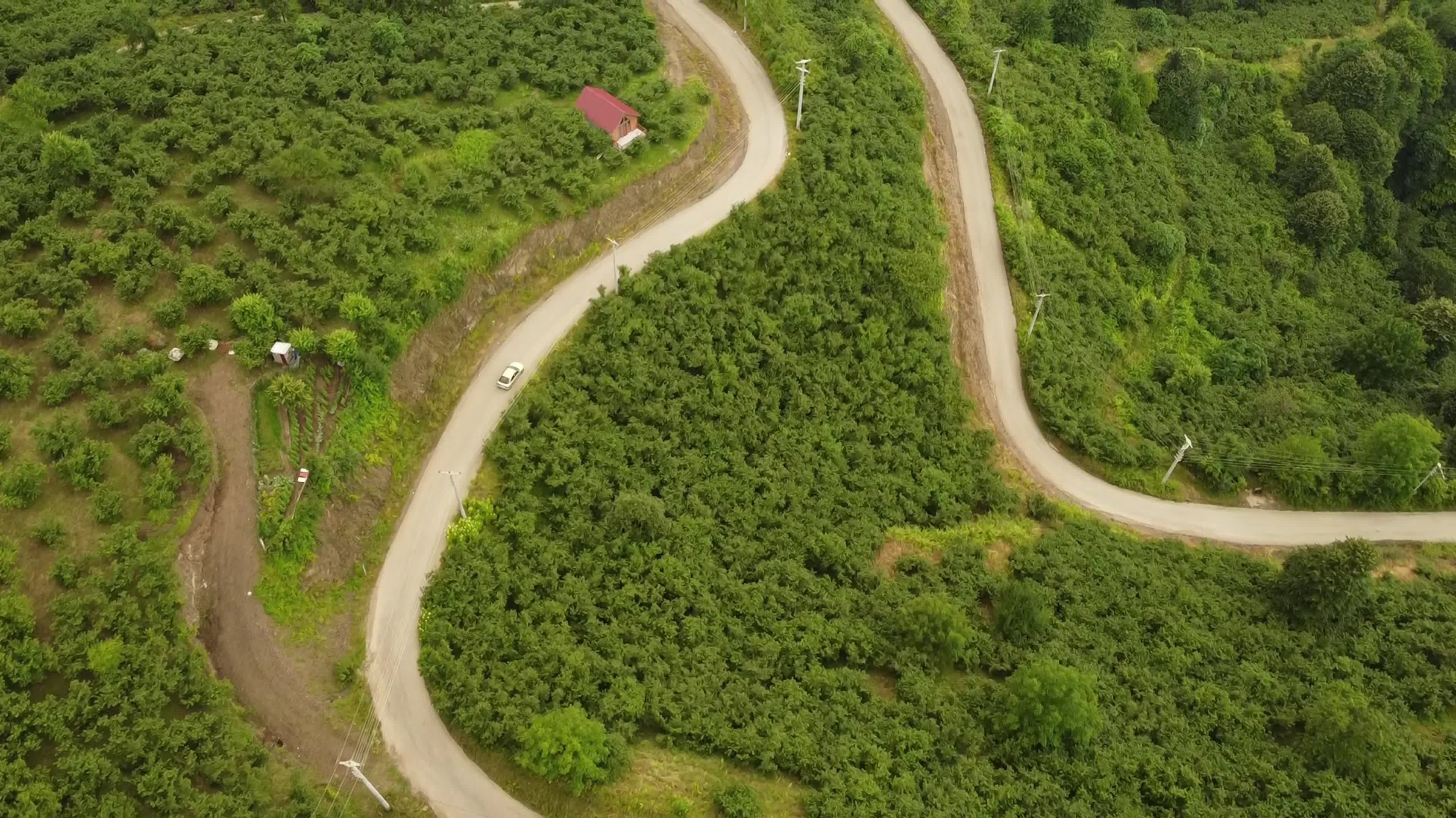 Scenic Aerial View of Winding Mountain Road Free Stock Video Footage ...