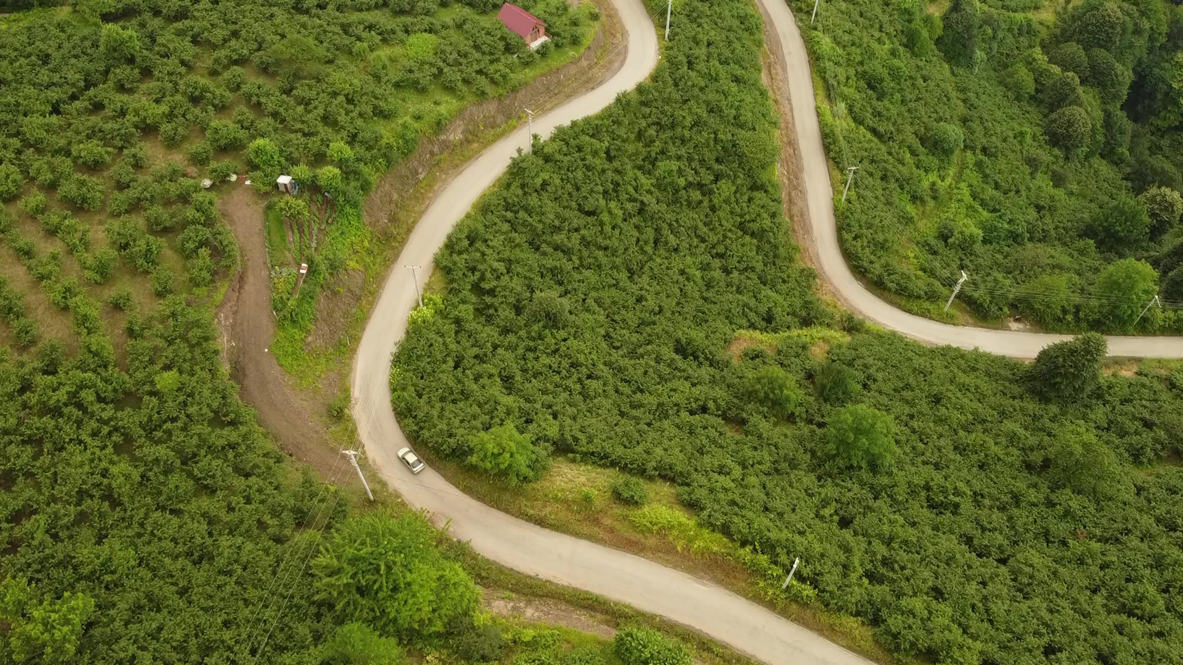 Behind The Curve Videos, Download The BEST Free 4k Stock Video Footage