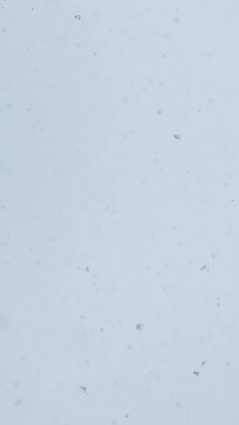 雪花视频素材