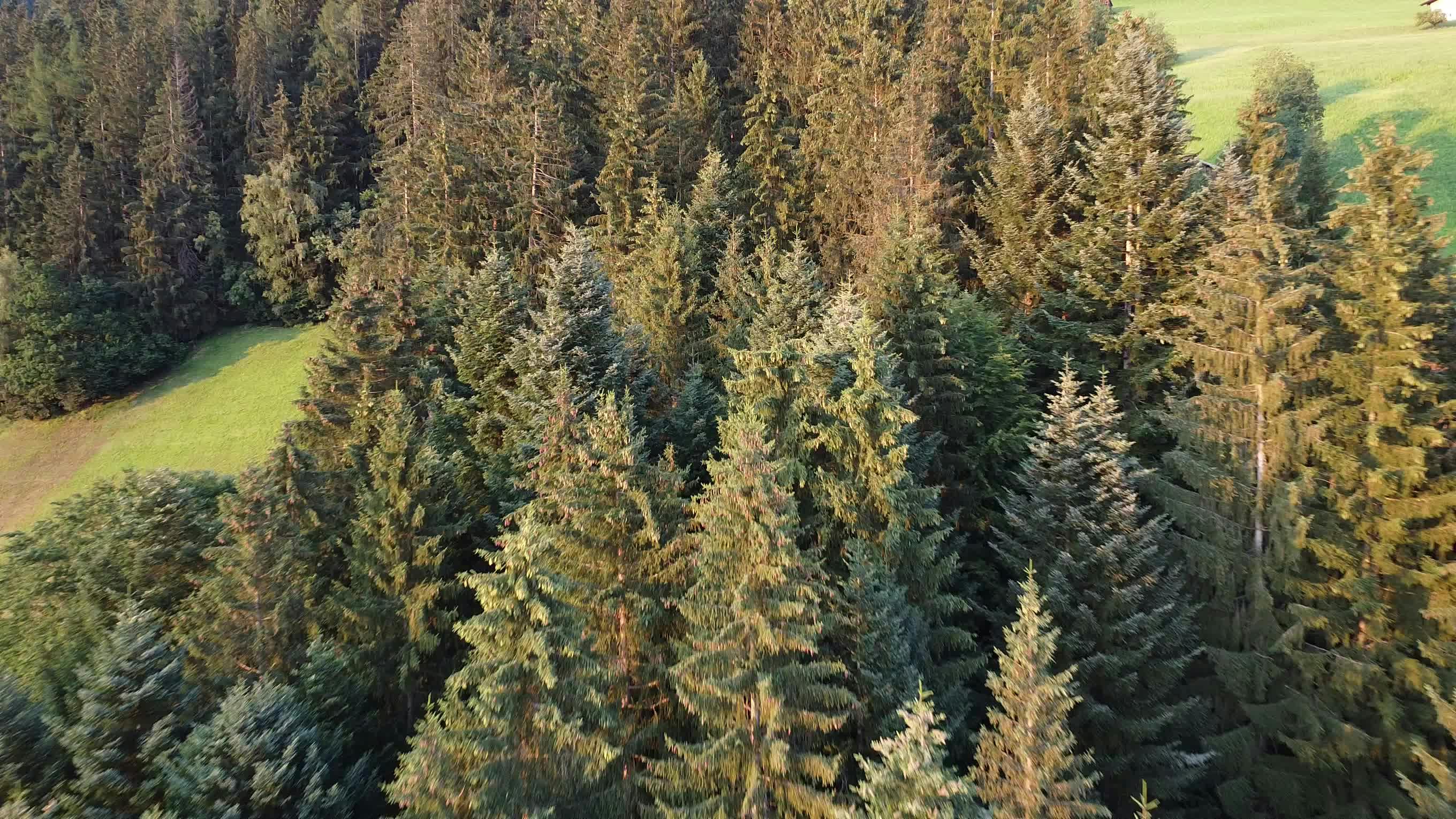 Video by Alexandr Sidorov