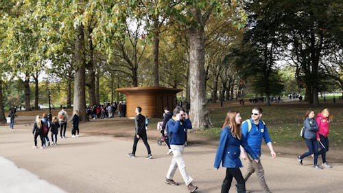 People In A Park