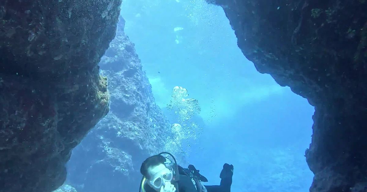 Diver Color Rocks Diver Exploring Underwater Rock Formations Free Stock Video Footage ...