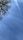 tree background