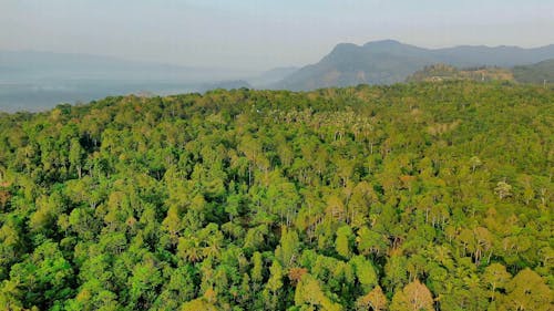 Drone Footage Of Indonesia's Countryside