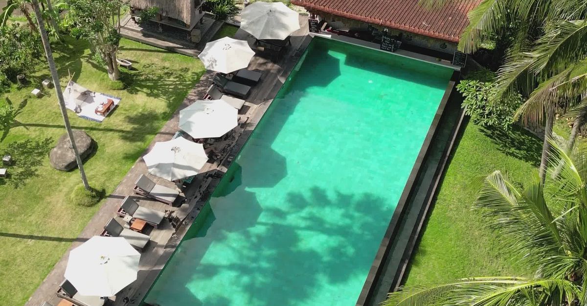 Swiming Pool Rice Aerial View of Tropical Infinity Pool and Rice Fields Free Stock Video ...