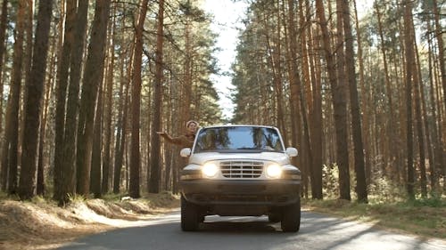 Eine Frau, Die Sich Aus Dem Fenster Eines Jeeps Lehnt, Genießt Die Waldlandschaft