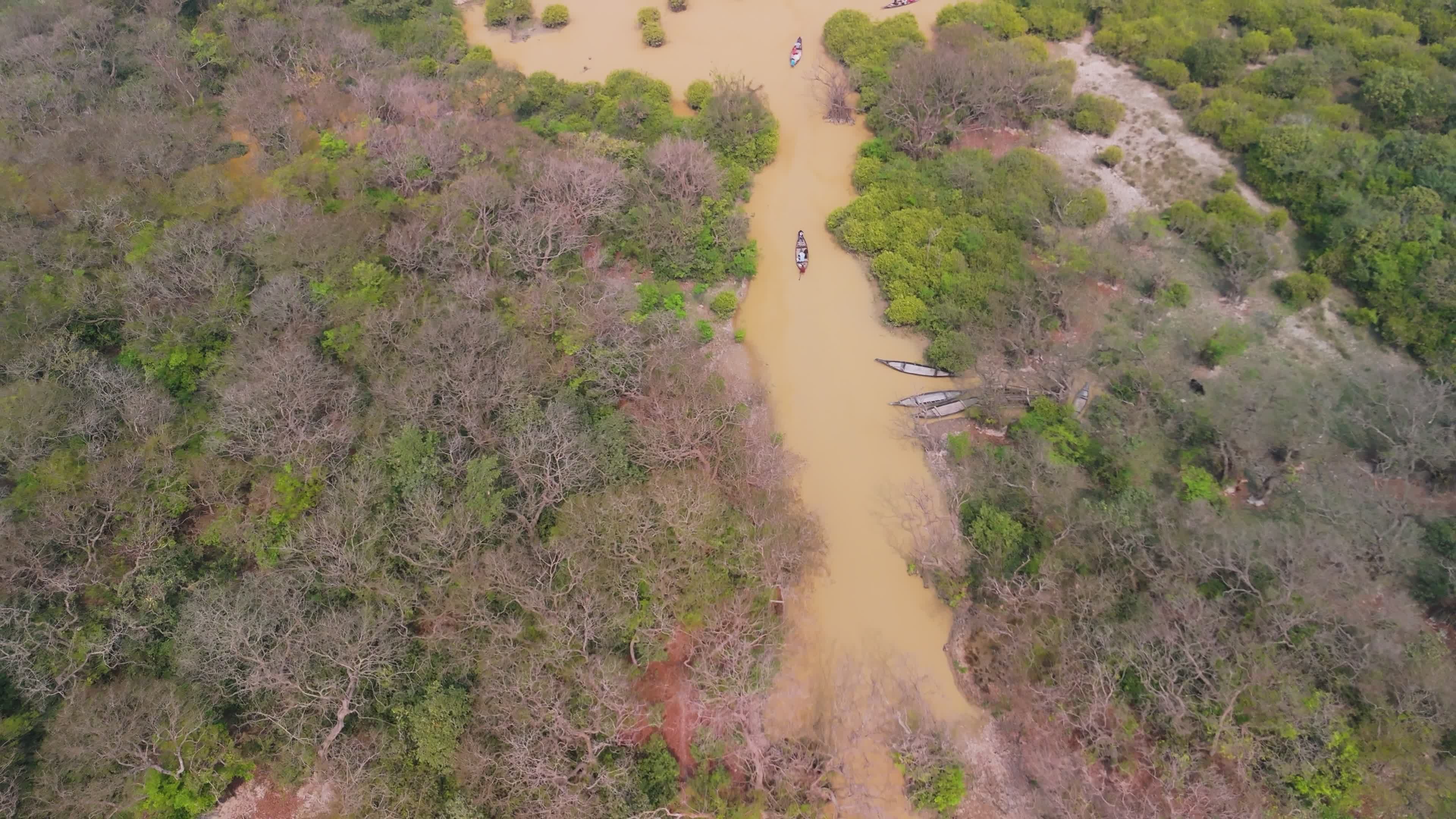 Aerial View of the Ratargul Swamp Forest Free Stock Video Footage ...