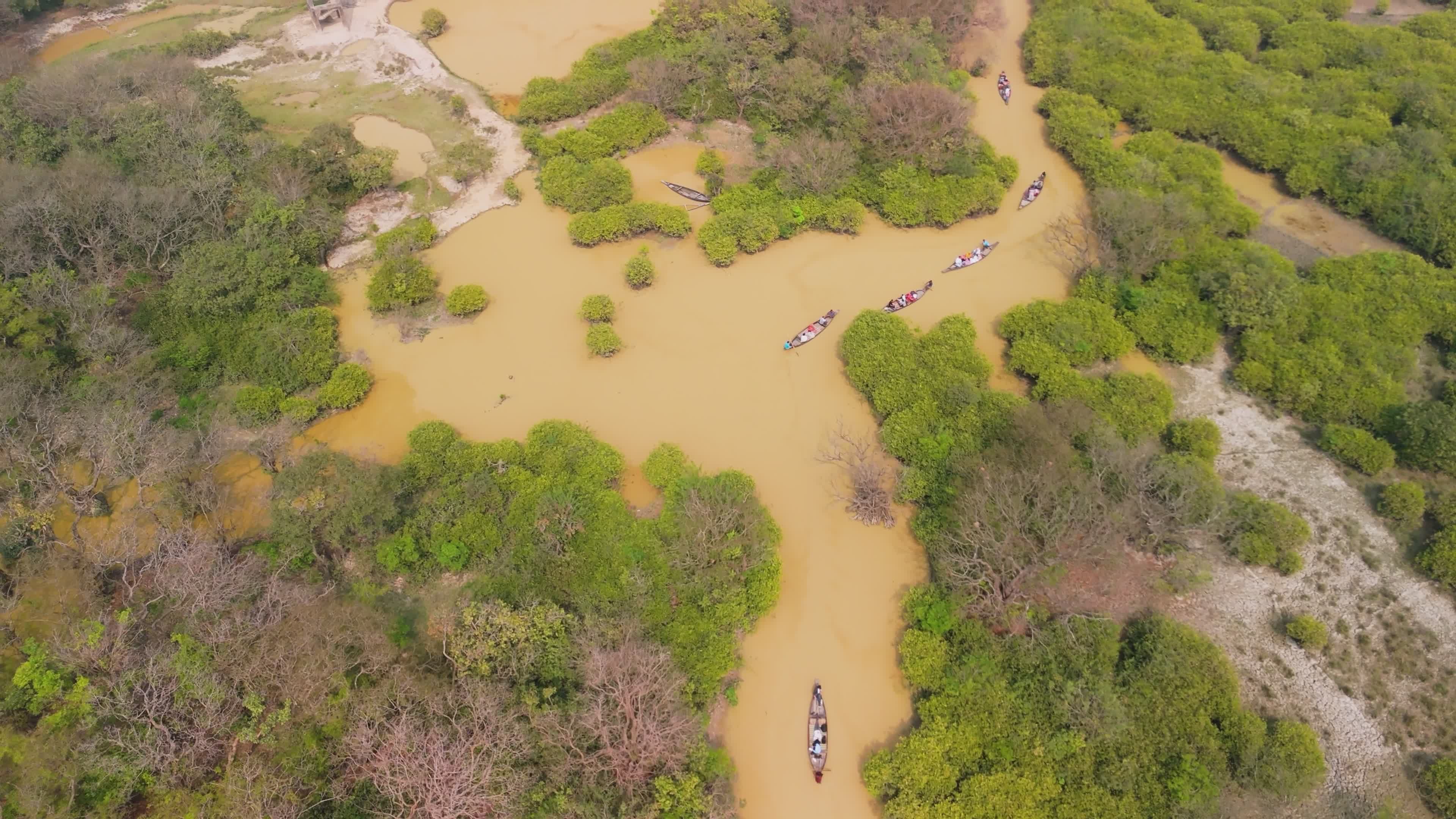 Aerial View of Ratargul Swamp Forest Free Stock Video Footage, Royalty ...