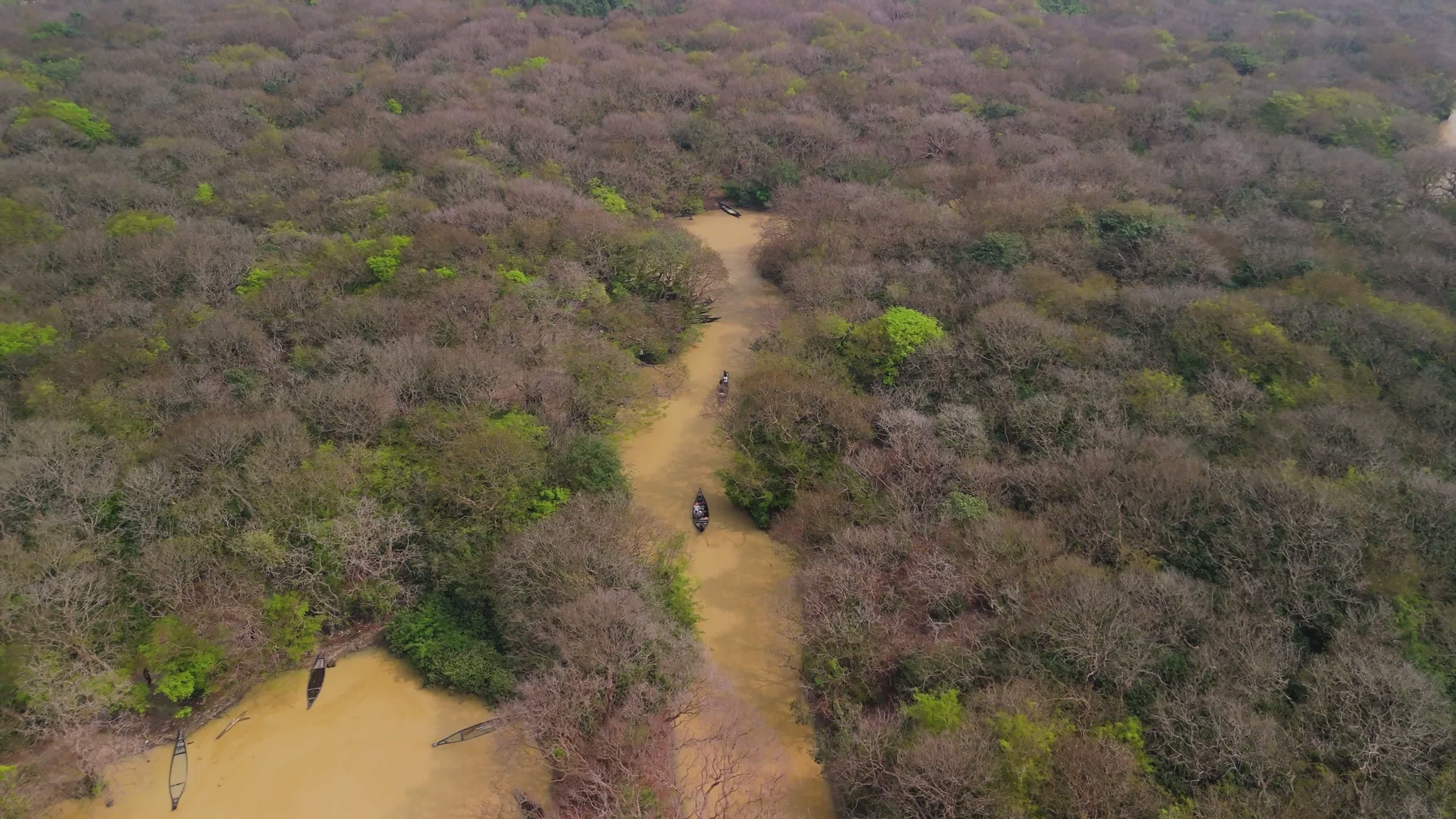 Aerial View of Ratargul Swamp Forest in Sylhet Free Stock Video Footage ...