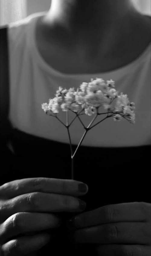 Person Spinning a Flower