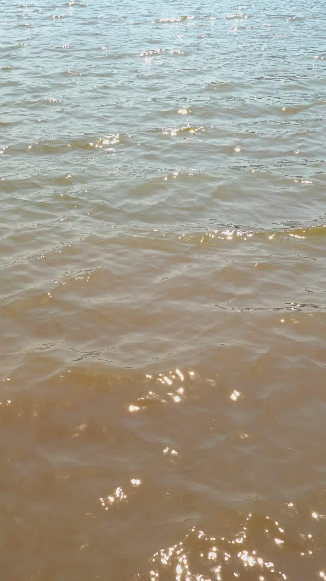Serene Rippling Water Under Sunlight Free Stock Video Footage, Royalty ...