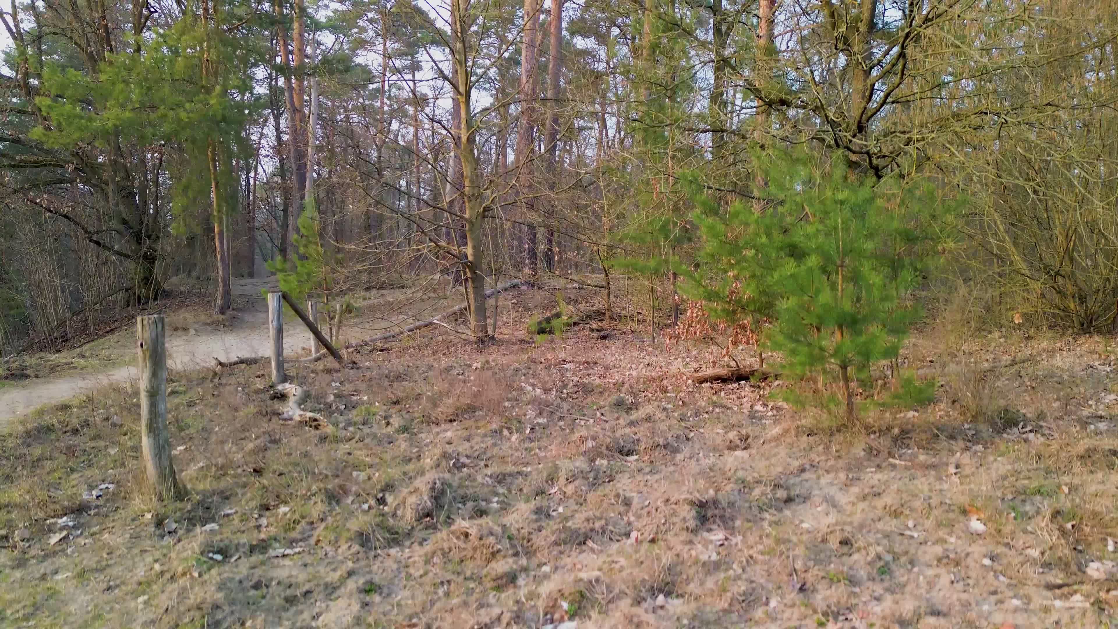 Video by Boti Von