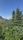 wilderness
