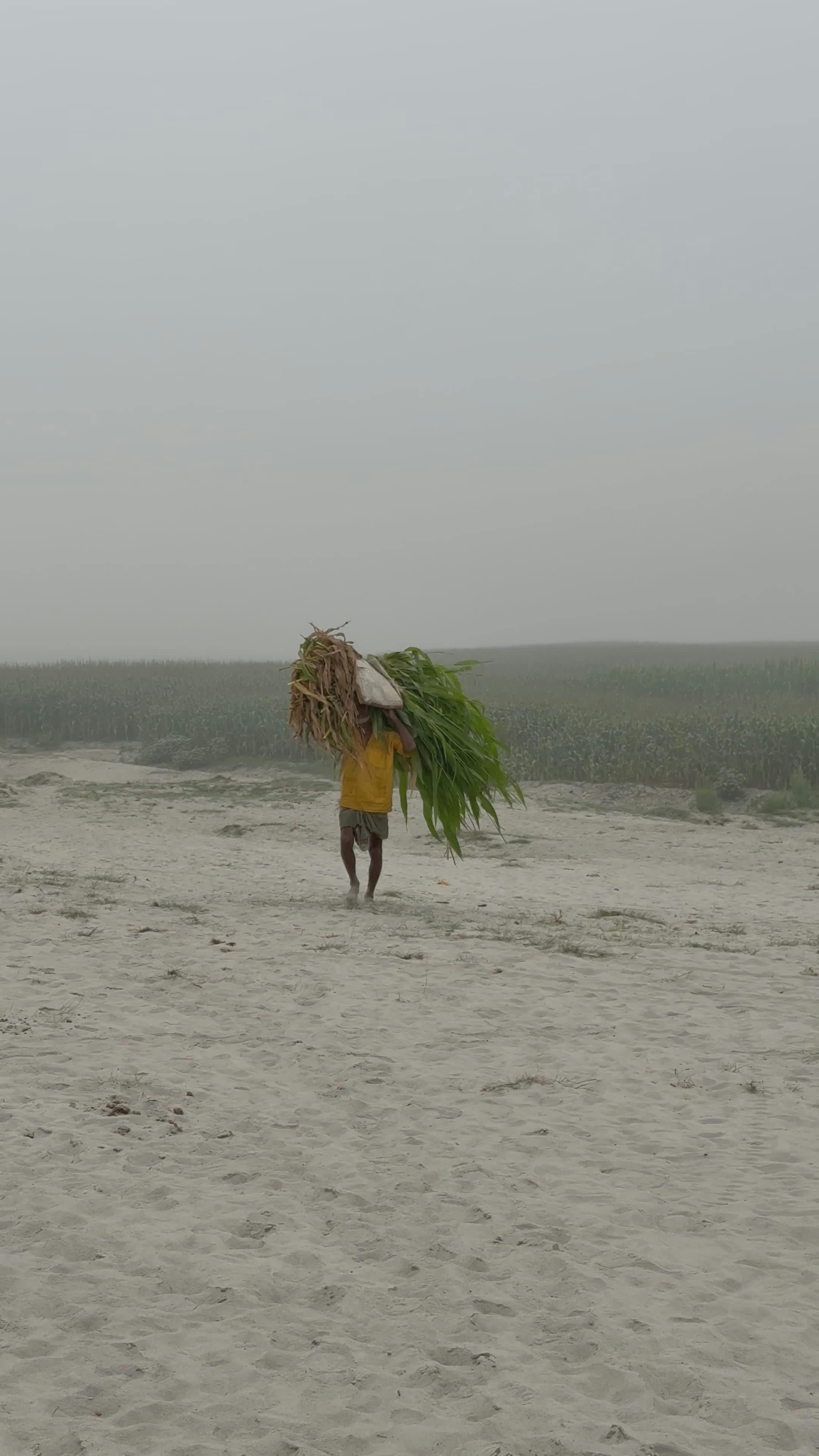 Lightskin+Solo+Stripping Videos, Download The BEST Free 4k Stock Video Footage & Lightskin+Solo