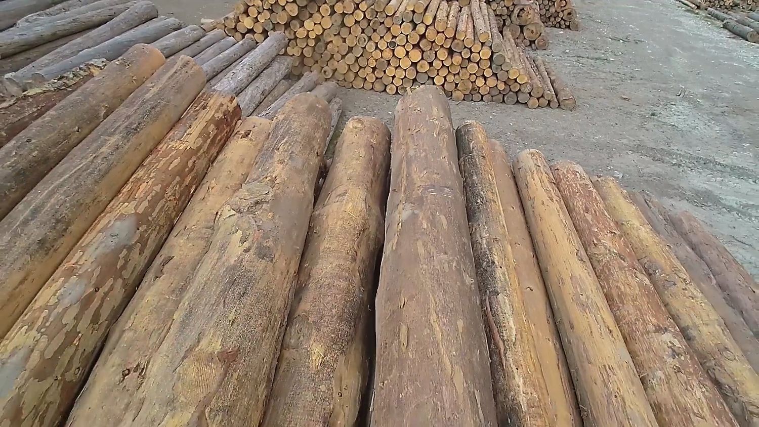 Wooden Logs Videos, Download The BEST Free 4k Stock Video Footage ...