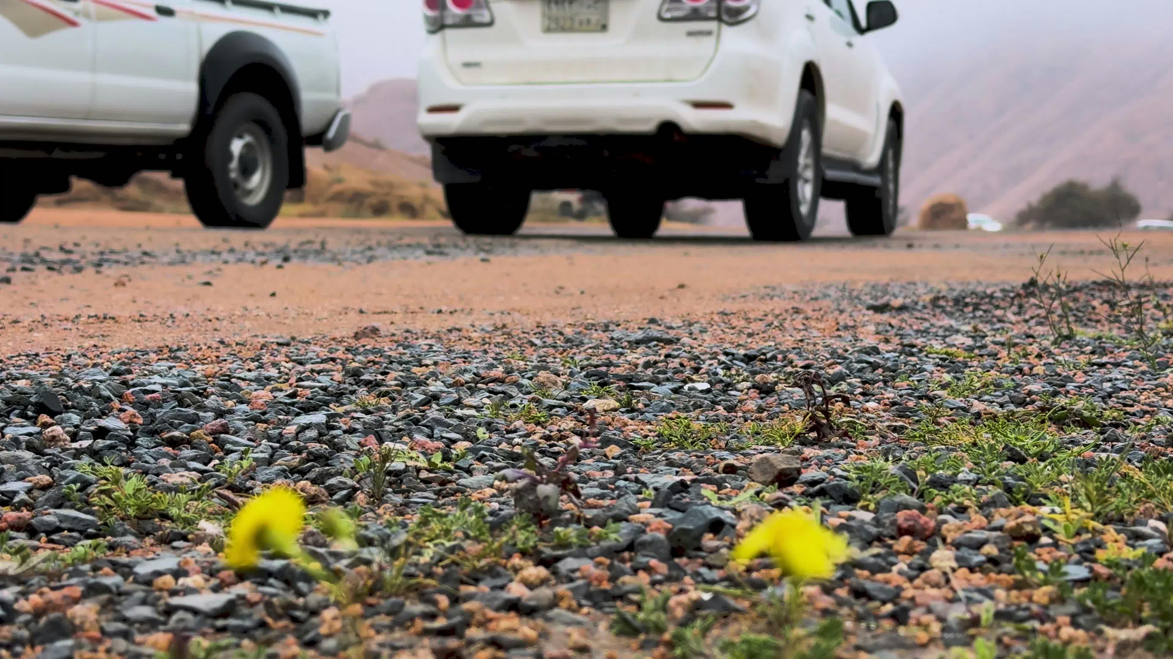 Video by Aamir Somewhere