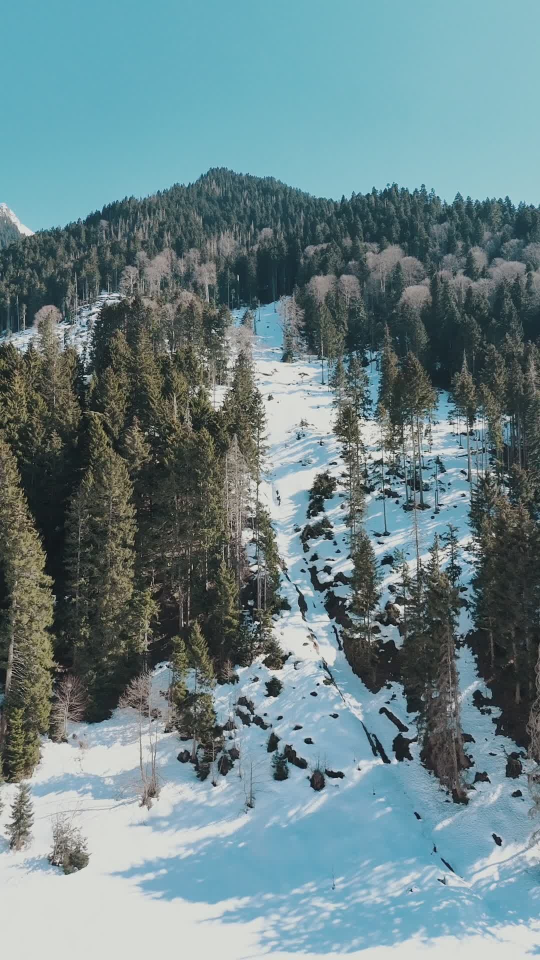 Scenic Snowy Mountain Landscape in Winter Free Stock Video Footage ...