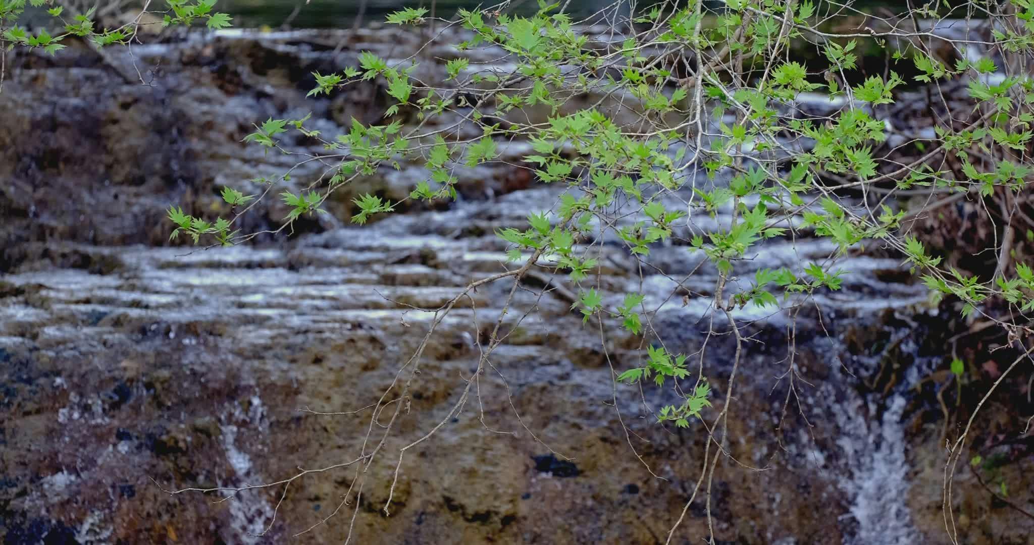 Video by Engin Akyurt