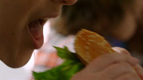 Een Grote Hap Op Een Broodje Hamburger