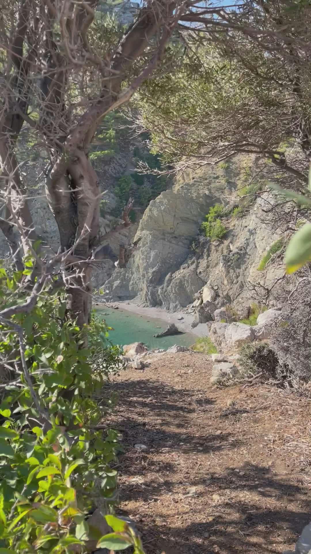 Video by Ayaz Ata  Tumay