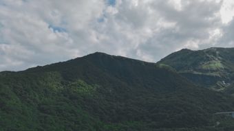 科普免费下载视频素材高清视频高清视频视频素材