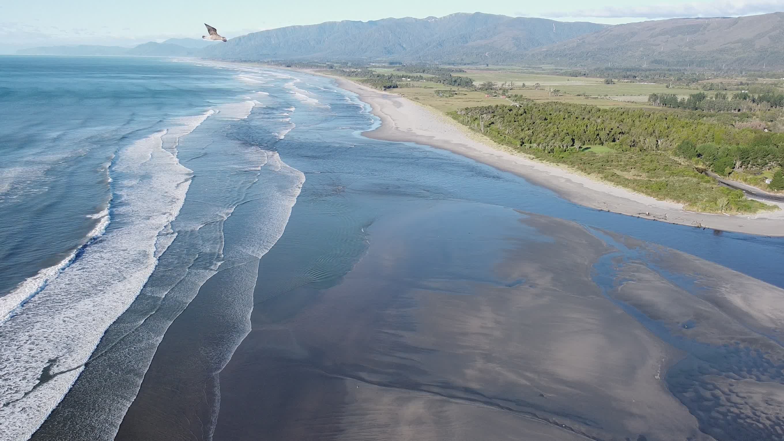 Bird On The Sky Videos, Download The BEST Free 4k Stock Video Footage ...