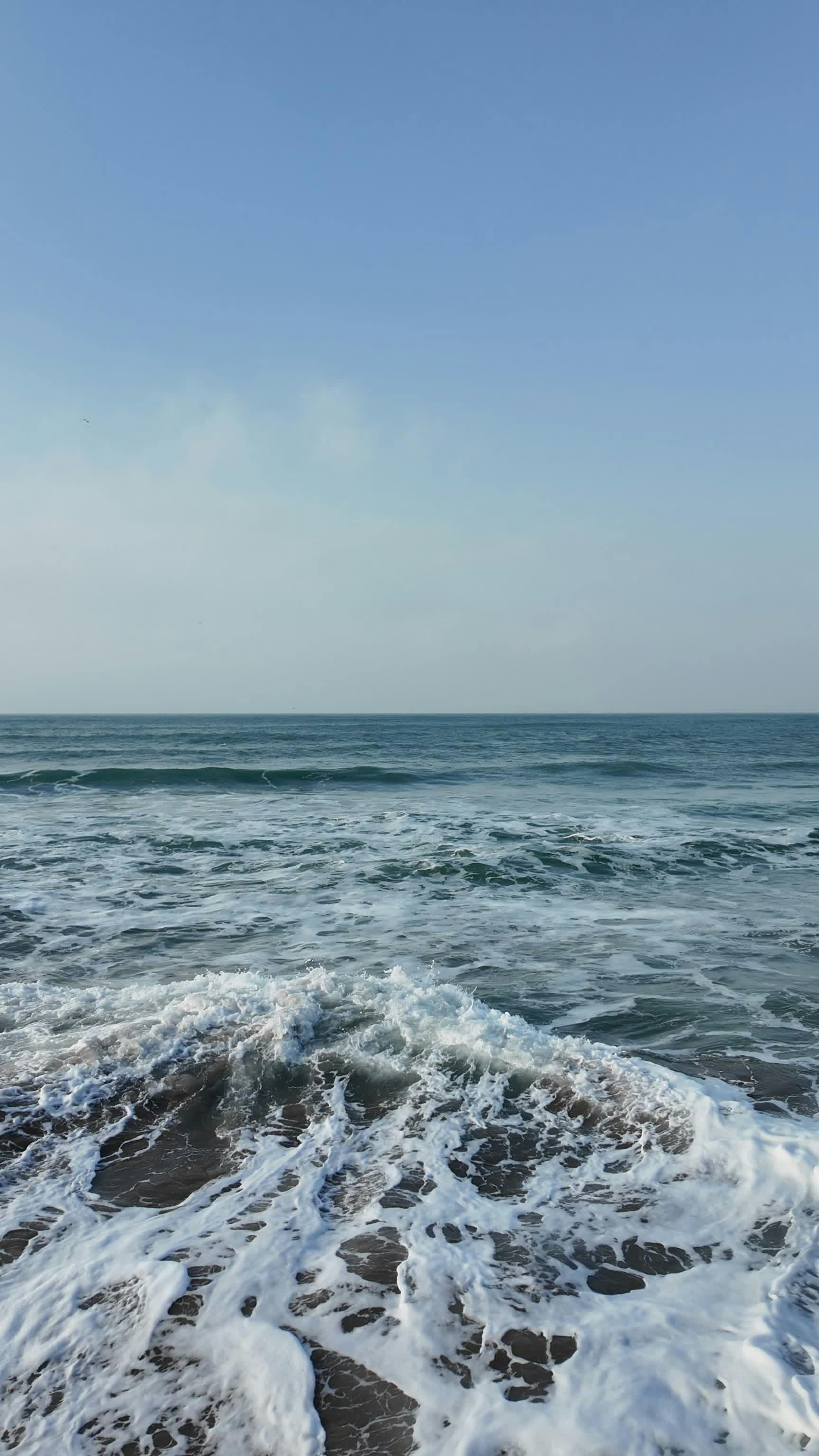 Video by Maurice Supple