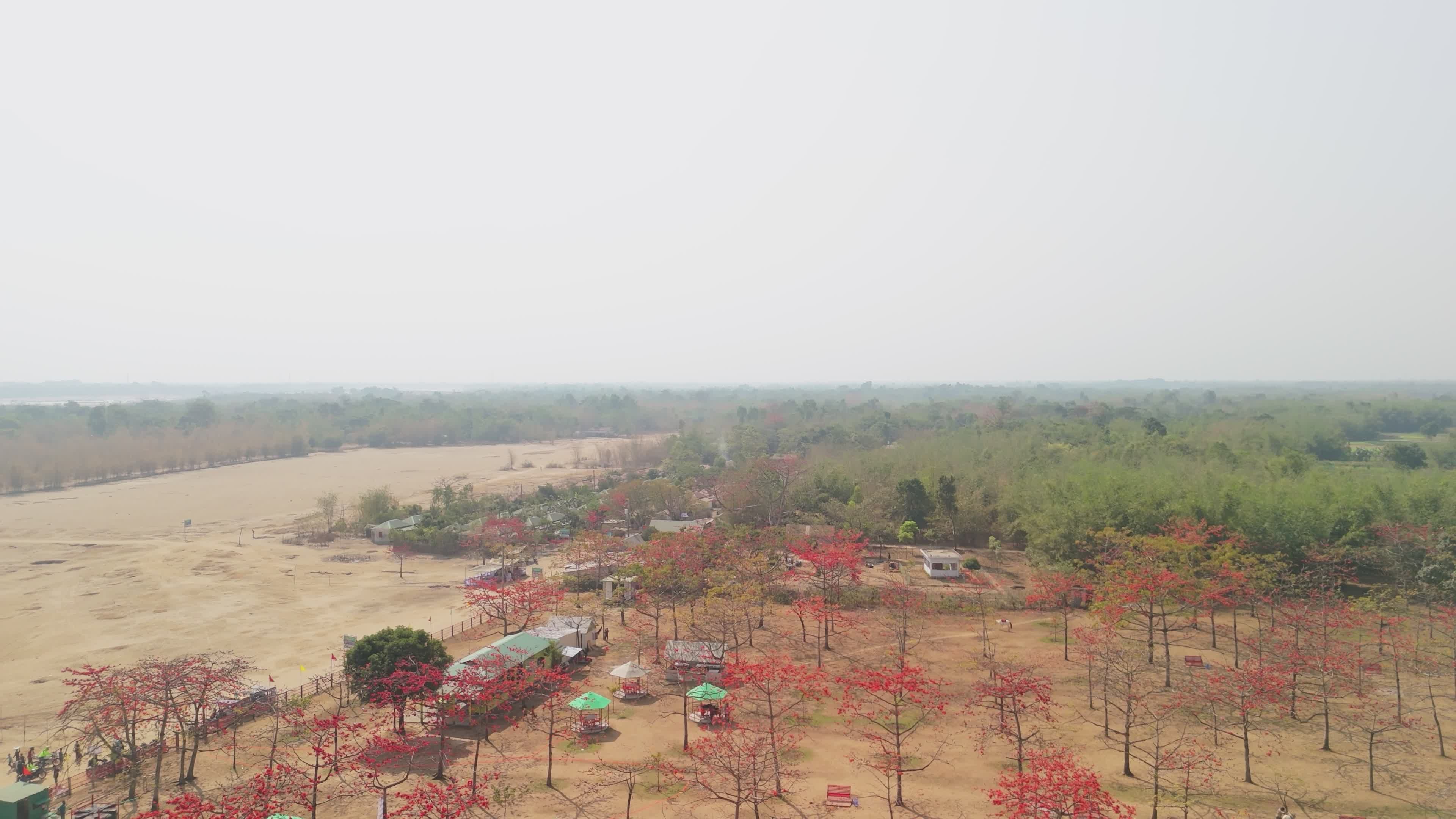Scenic View of Blooming Shimul Trees in Bangladesh Free Stock Video ...