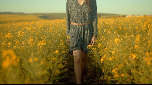 A Woman Walking On A Field Of Flowers