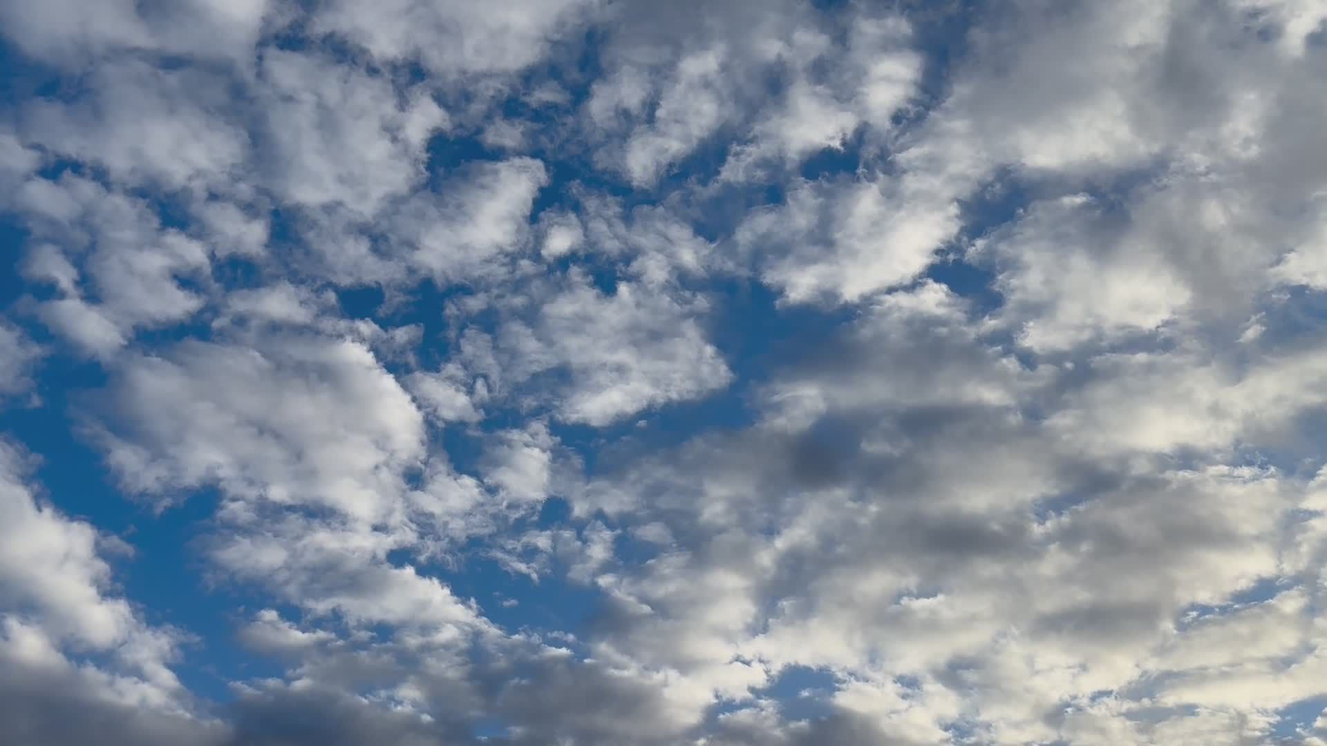 Video by Mohammad Kheir