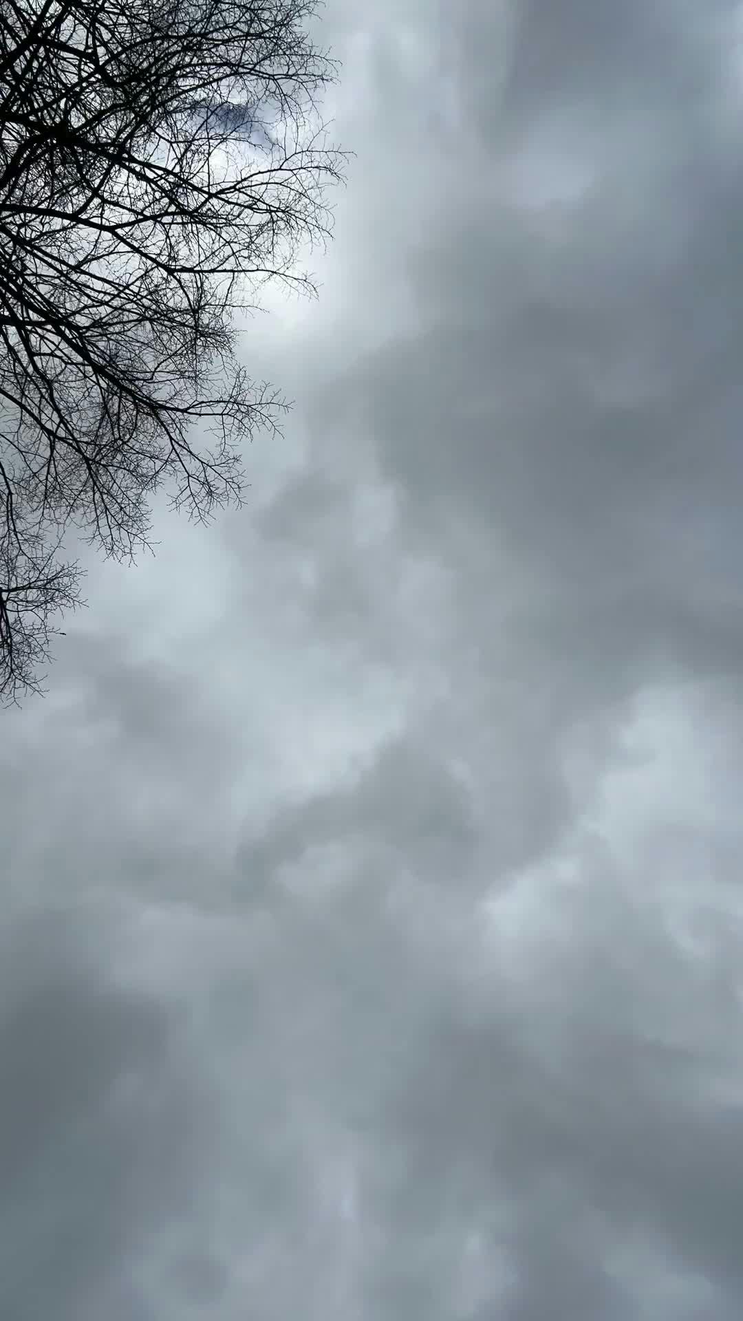 Video by Bav Vadgama