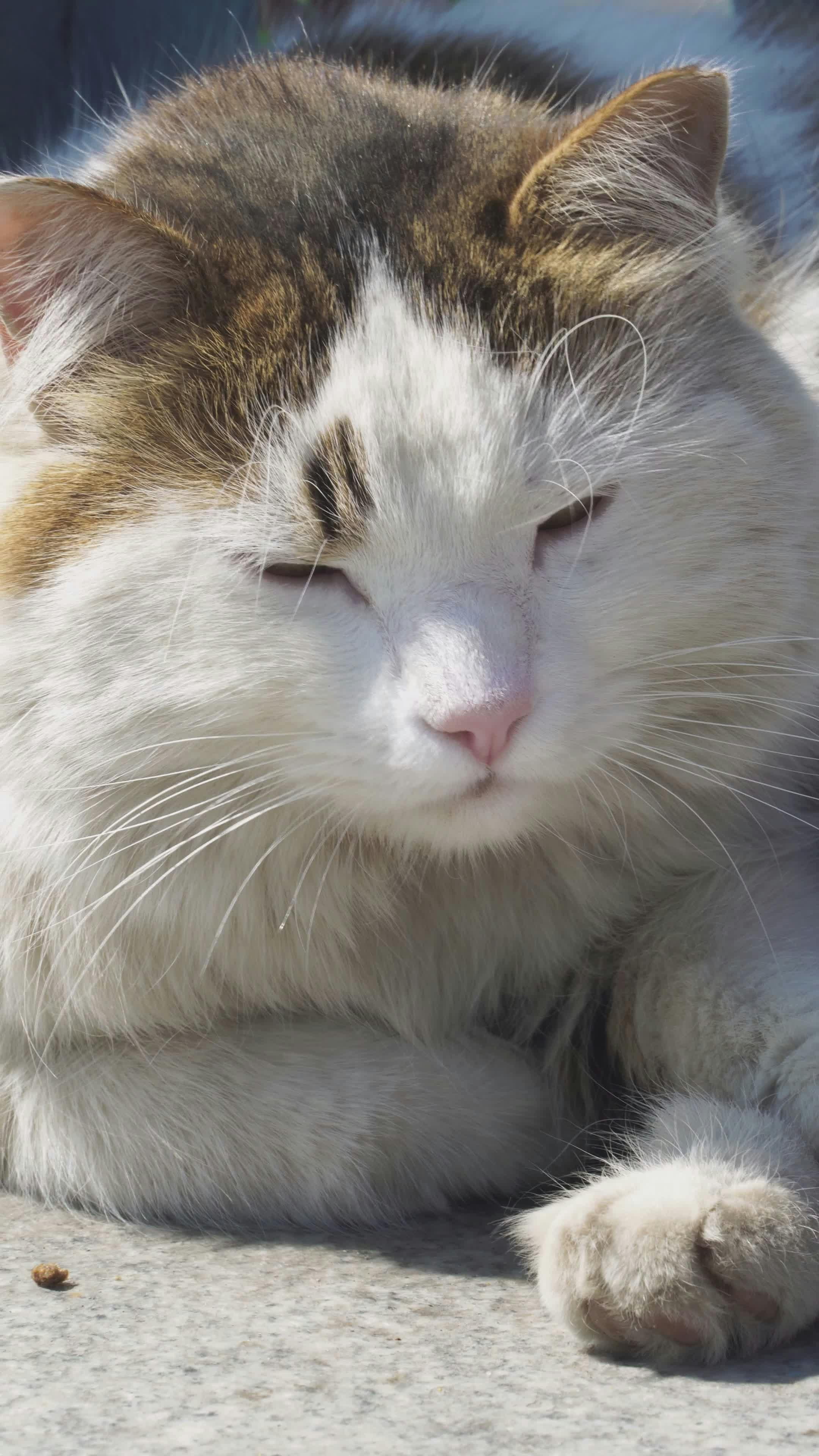 Video by Barış  Şeref