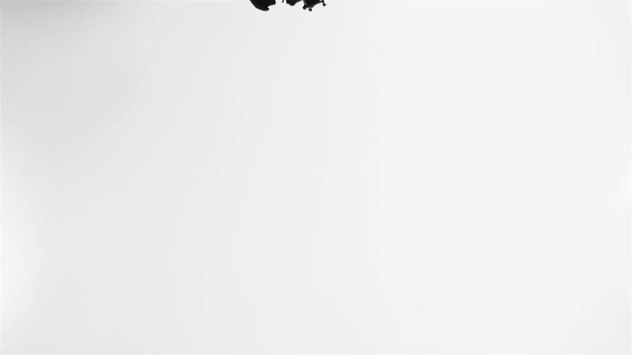 20 000 Best White Background Videos 100 Free Download Pexels Stock Videos