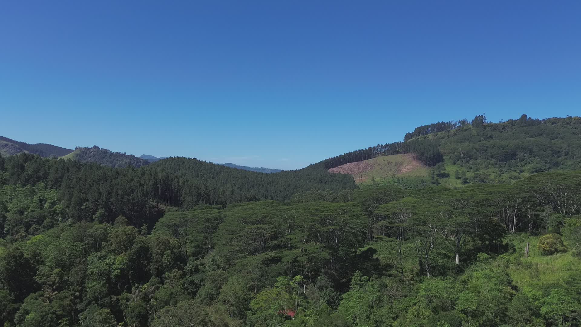 Serene Aerial View of Lush Forest Hills Free Stock Video Footage ...