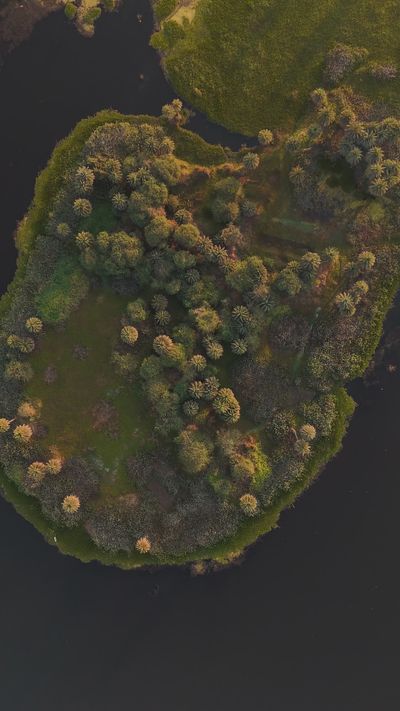 Aman Uttam's fantasy landscape cinematic video